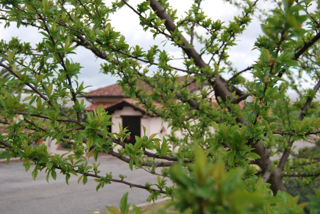 Agriturismo Torre Cristina Aprilia Exterior foto